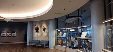 アクアワールド茨城県大洗水族館に投稿された画像（2024/11/8）