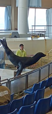 アクアワールド茨城県大洗水族館に投稿された画像（2024/11/8）