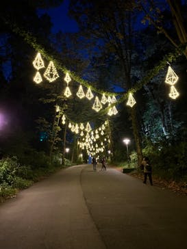 ムーミンバレーパークに投稿された画像（2024/11/8）