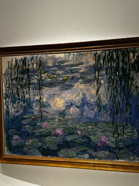 モネ 睡蓮のとき（国立西洋美術館）に投稿された画像（2024/11/8）