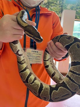 那須ワールドモンキーパークに投稿された画像（2024/11/8）