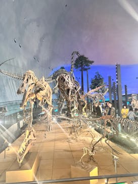 福井県立恐竜博物館に投稿された画像（2024/11/8）