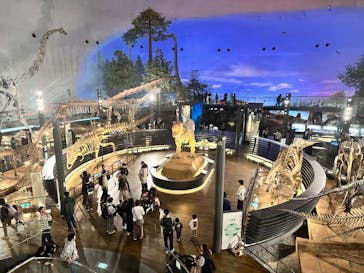 福井県立恐竜博物館に投稿された画像（2024/11/8）