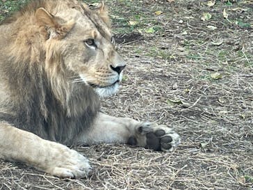 名古屋市東山動植物園に投稿された画像（2024/11/8）