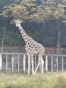 名古屋市東山動植物園に投稿された画像（2024/11/8）