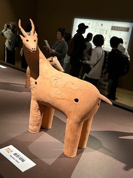 挂甲の武人 国宝指定50周年記念 特別展「はにわ」@東京国立博物館 平成館に投稿された画像（2024/11/9）
