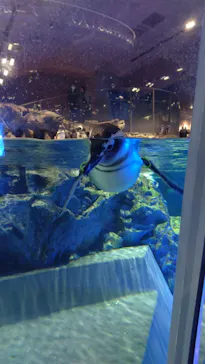 すみだ水族館に投稿された画像（2024/11/9）