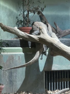 名古屋市東山動植物園に投稿された画像（2024/11/9）