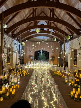 やくらいガーデンに投稿された画像（2024/11/9）