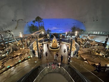 福井県立恐竜博物館に投稿された画像（2024/11/9）