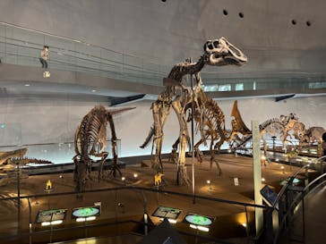 福井県立恐竜博物館に投稿された画像（2024/11/9）