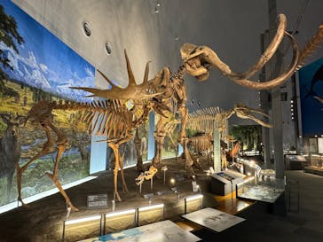 福井県立恐竜博物館に投稿された画像（2024/11/9）