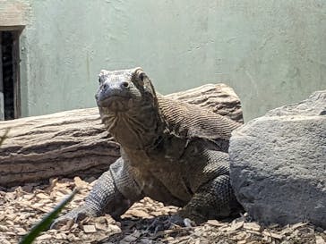 名古屋市東山動植物園に投稿された画像（2024/11/9）