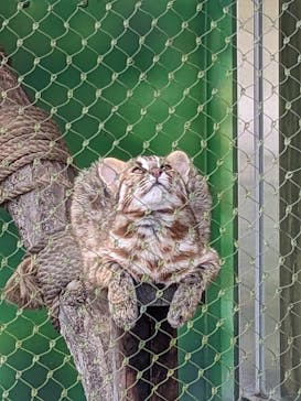 名古屋市東山動植物園に投稿された画像（2024/11/9）