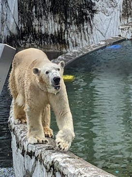 名古屋市東山動植物園に投稿された画像（2024/11/9）