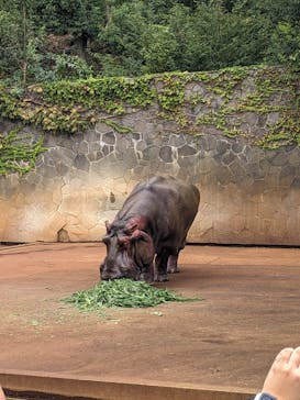 名古屋市東山動植物園に投稿された画像（2024/11/9）