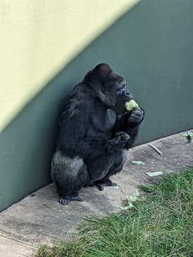名古屋市東山動植物園に投稿された画像（2024/11/9）