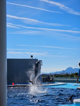 四国水族館に投稿された画像（2024/11/9）