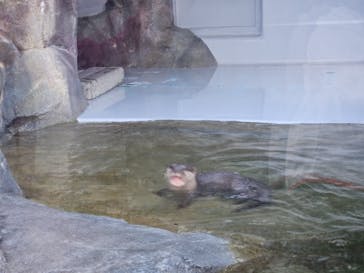 四国水族館に投稿された画像（2024/11/9）