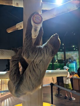 DMMかりゆし水族館に投稿された画像（2024/11/9）