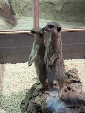 DMMかりゆし水族館に投稿された画像（2024/11/9）