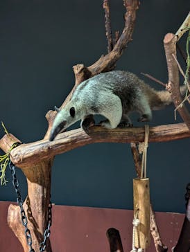 DMMかりゆし水族館に投稿された画像（2024/11/9）