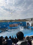 仙台うみの杜水族館に投稿された画像（2024/11/9）