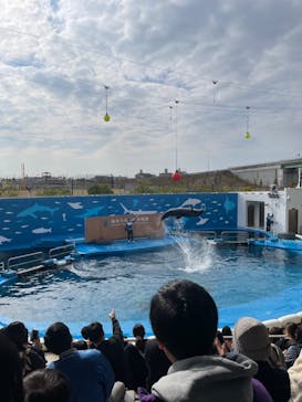 仙台うみの杜水族館に投稿された画像（2024/11/9）