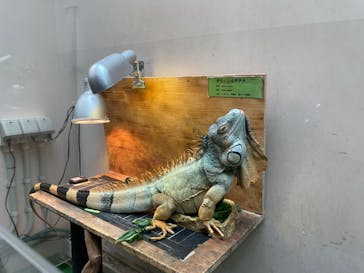 仙台うみの杜水族館に投稿された画像（2024/11/9）