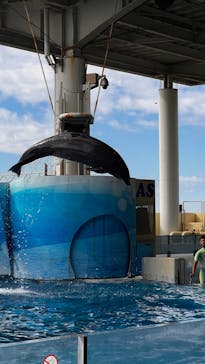 新江ノ島水族館に投稿された画像（2024/11/9）