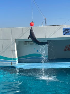 南知多ビーチランド＆南知多おもちゃ王国に投稿された画像（2024/11/9）