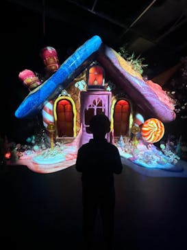 イマーシブ・フォート東京に投稿された画像（2024/11/9）