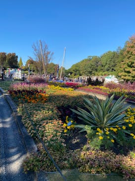 安城産業文化公園デンパークに投稿された画像（2024/11/9）