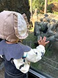 恩賜上野動物園に投稿された画像（2024/11/9）