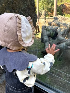 恩賜上野動物園に投稿された画像（2024/11/9）