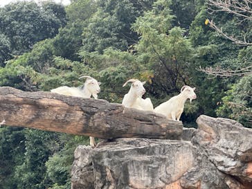 到津の森公園に投稿された画像（2024/11/9）