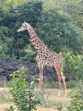 到津の森公園に投稿された画像（2024/11/9）