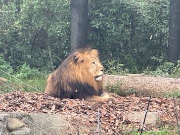 到津の森公園に投稿された画像（2024/11/9）