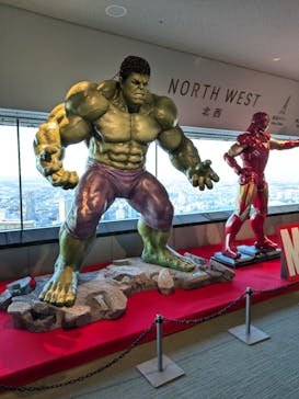 横浜ランドマークタワー 69階展望フロア スカイガーデンに投稿された画像（2024/11/9）