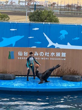 仙台うみの杜水族館に投稿された画像（2024/11/9）