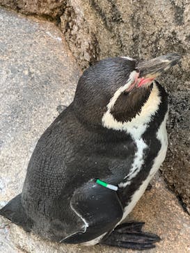 仙台うみの杜水族館に投稿された画像（2024/11/9）