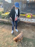 つくばわんわんランドに投稿された画像（2024/11/9）