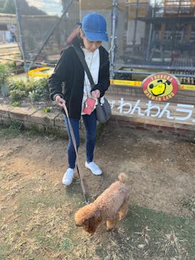 つくばわんわんランドに投稿された画像（2024/11/9）