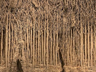 金沢21世紀美術館に投稿された画像（2024/11/9）