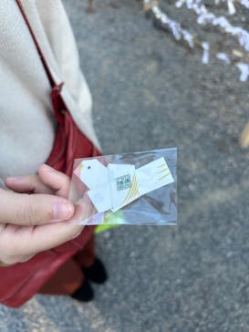 京阪電車に投稿された画像（2024/11/9）