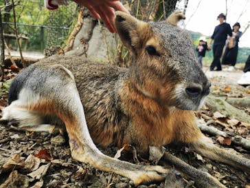 長崎バイオパークに投稿された画像（2024/11/9）