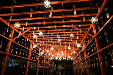 国営昭和記念公園 秋の夜散歩に投稿された画像（2024/11/9）