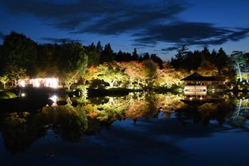 国営昭和記念公園 秋の夜散歩に投稿された画像（2024/11/9）