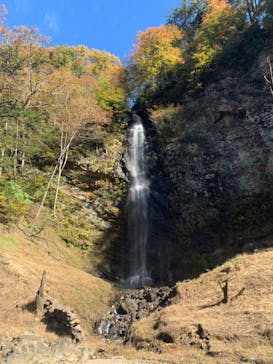 mizudori ミズドリガイドに投稿された画像（2024/11/9）