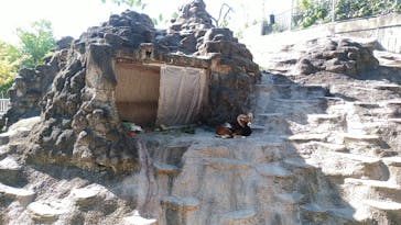 天王寺動物園に投稿された画像（2024/11/9）